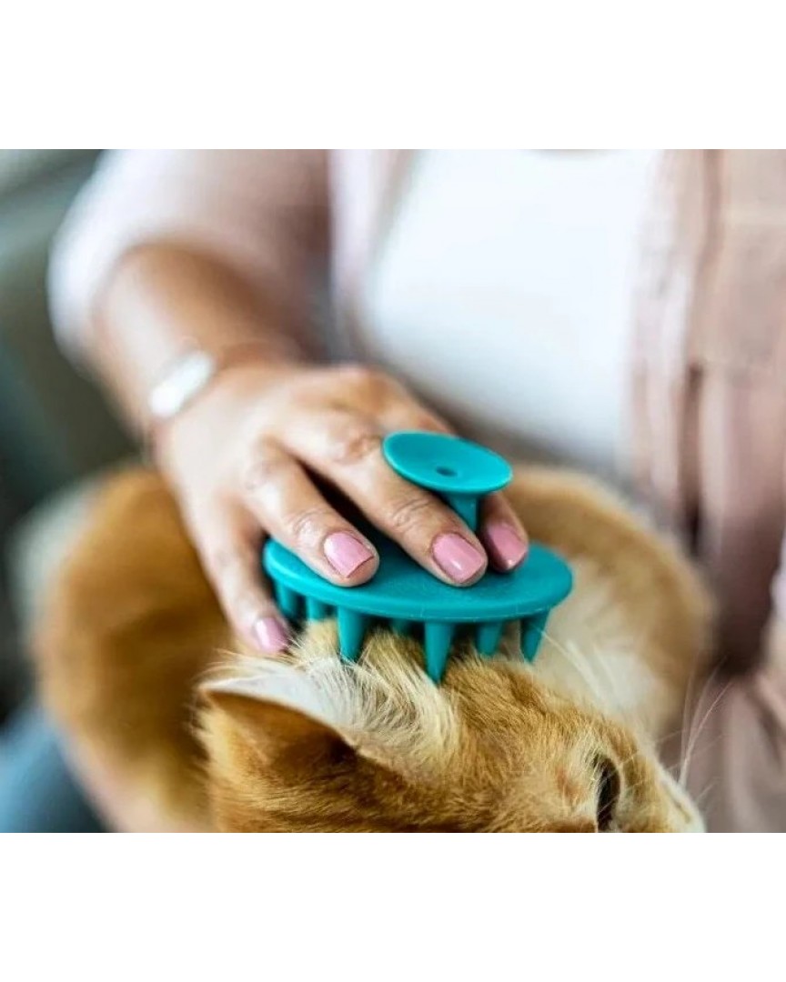 Yumuşak Silikon Uçlu Kedi ve Köpek Tarağı – Kullanımı Kolay Silikon Taraklar, Kedi Silikon Tarak Masaj Tarağı Modeli, Yumuşak Dokulu Silikon Kedi Tarağı  ATAPET (Mavi)