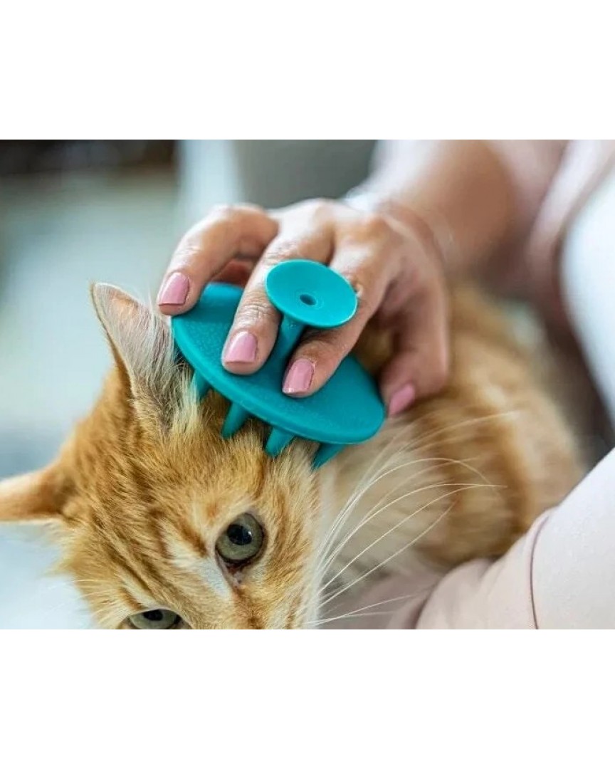 Yumuşak Silikon Uçlu Kedi ve Köpek Tarağı – Kullanımı Kolay Silikon Taraklar, Kedi Silikon Tarak Masaj Tarağı Modeli, Yumuşak Dokulu Silikon Kedi Tarağı  ATAPET (Mavi)