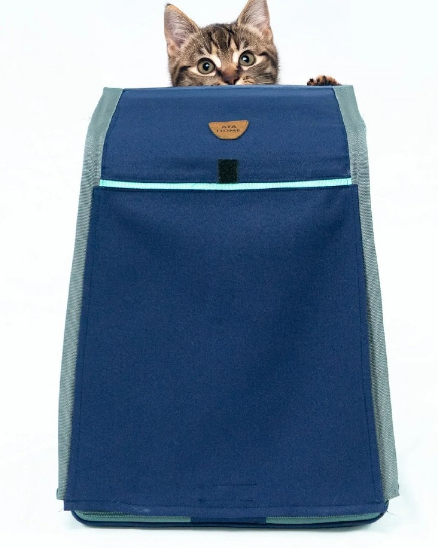 Kedi Taşıma Çantası – Kedi Taşıma Çantası Büyük Boy, Kedi Çantası Uçak ve Araba Uyumlu, Kedi Ve Köpek Taşıma El Sırt Çantası, Yıkanabilir Fileli Kedi Seyahat Çantası, Kedi Taşıma Box ve Taşıyıcı Çanta (Lacivert) ATAPET