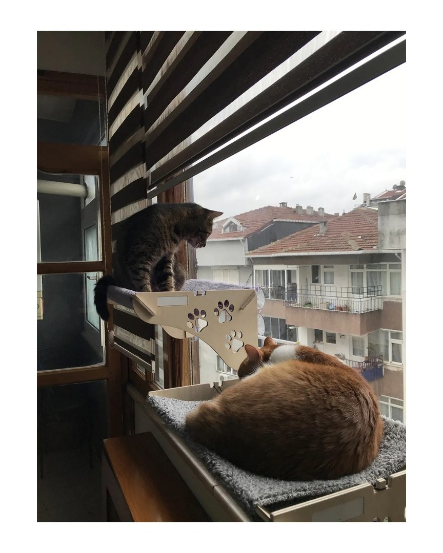 Ahşap Cama Yapışan Vantuzlu Kedi Yatağı (Gri) – Sağlam Ahşap Gövde, Dayanıklı Vantuzlu Tasarım, Pencere Önü Kedi Yatağı, Cam Yüzeye Uygun Model, Konforlu Dinlenme Alanı, Kolay Montaj ATAPET