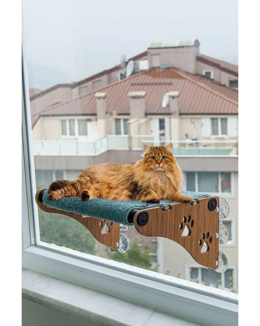 Ahşap Cama Yapışan Vantuzlu Kedi Yatağı (Yeşil, Büyük Boy) – Sağlam Ahşap Gövde, Dayanıklı Vantuzlu Tasarım, Pencere Önü Kedi Yatağı, Cam Yüzeye Uygun Model, Konforlu Dinlenme Alanı, Kolay Montaj ATAPET