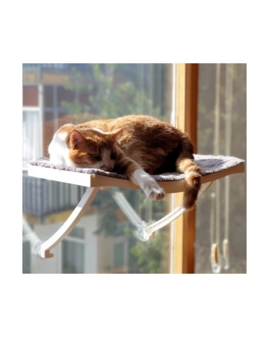 Cama Asılan Vantuzlu Plastik Kedi Yatağı – Dayanıklı Plastik Kedi Yatakları, Kullanışlı Plastik Kedi Yatak, Kedi Cam Yatağı, Cam Önü Yatağı, Vantuzlu Cam Yatak  (Beyaz) ATAPET